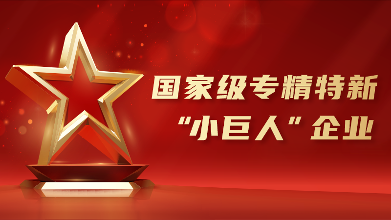 喜报！Z6.COM荣获国家级专精特新“小巨人”企业认证